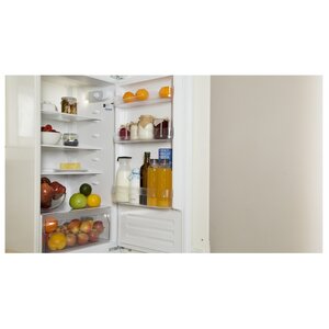 Встраиваемый холодильник Indesit B 18 A1 D/I (фото modal nav 13)