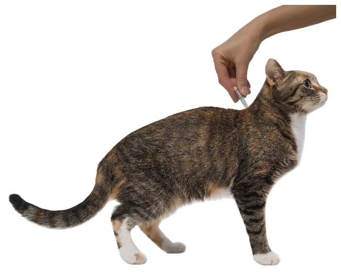 Профендер (Bayer) капли на холку для кошек от 2,5 до 5,0 кг (2 пипетки) (фото modal 5)