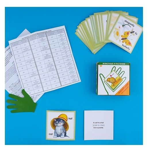 Набор карточек Маленький гений Английский на ладошке. Животные и растения 10.5x10.5 см 48 шт. (фото modal 3)