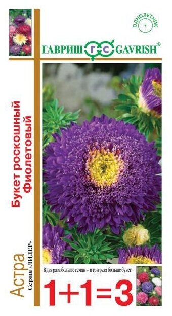 Семена 1+1=3 Астра Букет роскошный фиолетовый 0,5 г Гавриш 0.5 г (фото modal 1)