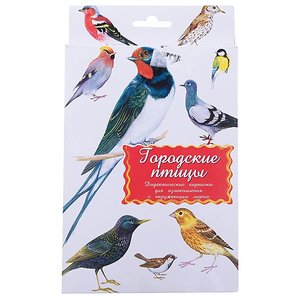 Набор карточек Маленький гений Городские птицы 21x15 см 16 шт. (фото modal nav 1)