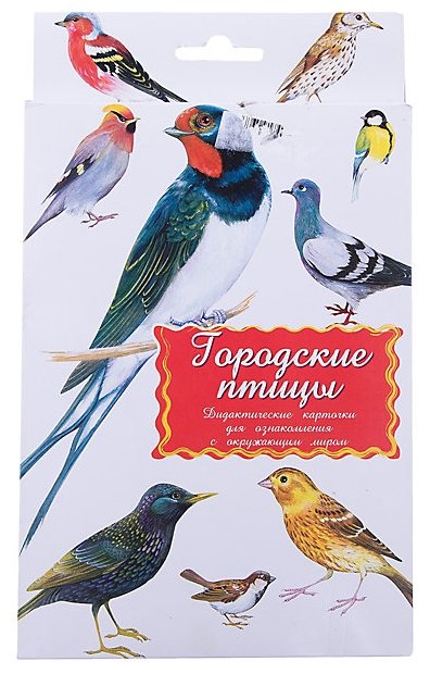 Набор карточек Маленький гений Городские птицы 21x15 см 16 шт. (фото modal 1)