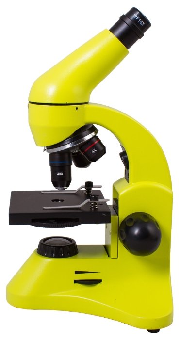 Микроскоп LEVENHUK Rainbow 50L PLUS (фото modal 42)