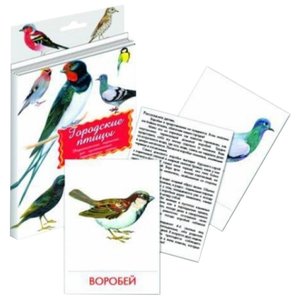 Набор карточек Маленький гений Городские птицы 21x15 см 16 шт. (фото modal nav 10)