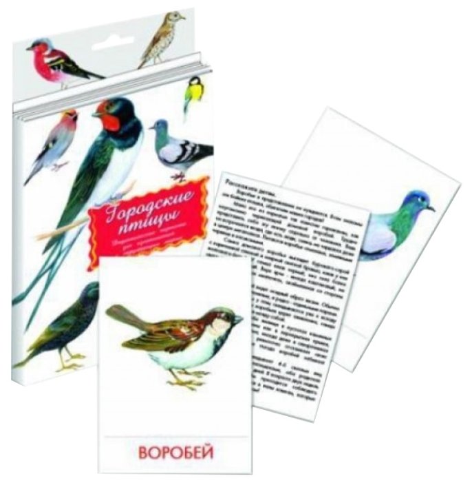 Набор карточек Маленький гений Городские птицы 21x15 см 16 шт. (фото modal 10)