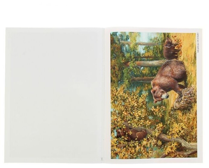 Набор карточек Мозаика-Синтез ФГОС Картины из жизни диких животных. Бурый медведь 39.6x29 см 4 шт. (фото modal 2)