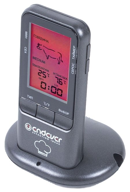 Термометр ENDEVER электронный Smart-06 (фото modal 1)