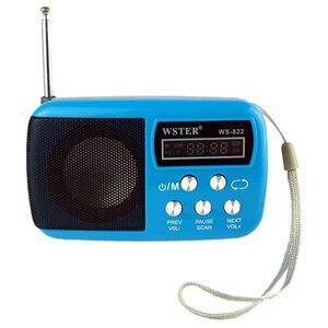 Радиоприемник Wster WS-822 (фото modal nav 4)