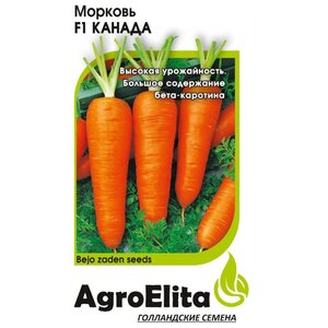 Семена AgroElita Морковь Канада F1 0,3 г Гавриш 0.3 г (фото modal nav 1)