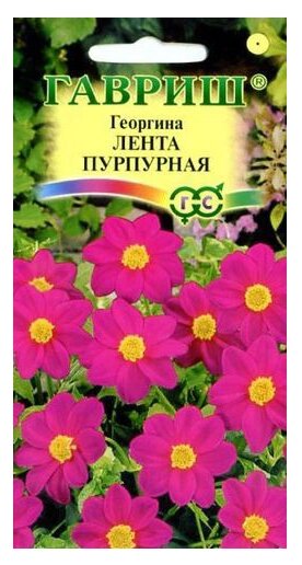 Семена Георгина Лента пурпурная 0,2 г Гавриш 0.2 г (фото modal 1)