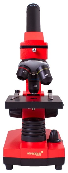 Микроскоп LEVENHUK Rainbow 2L PLUS (фото modal 4)