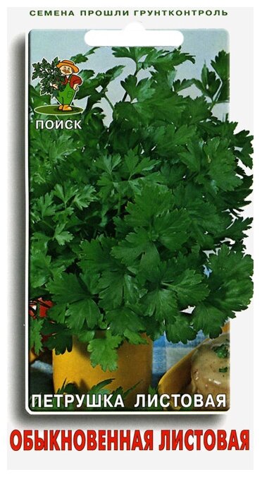 Семена Петрушка Обыкновенная листовая 3 г ПОИСК 3 г (фото modal 1)