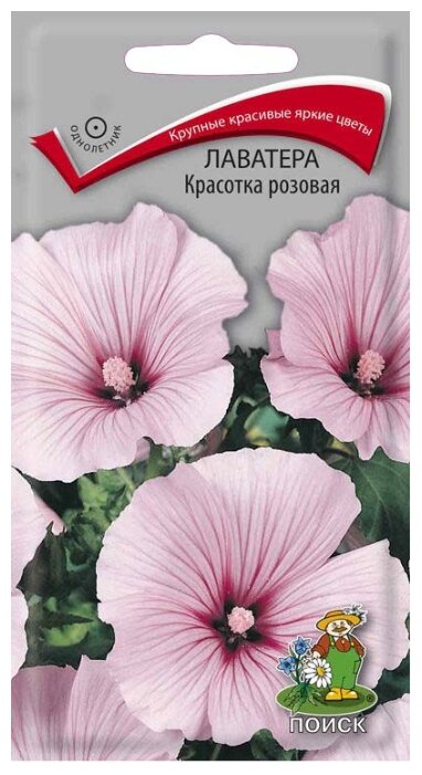 Семена Лаватера Красотка розовая 0.3 г ПОИСК 0.3 г (фото modal 1)