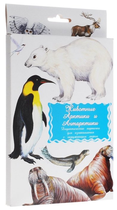 Набор карточек Маленький гений Животные Арктики и Антарктики (фото modal 1)