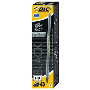 BIC Набор чернографитных карандашей Evolution Black 12 шт (896017) (фото modal nav 1)