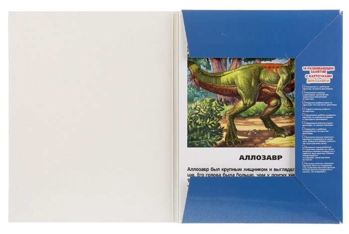 Набор карточек Умка Динозавры 21.8x16.7 см 16 шт. (фото modal 5)