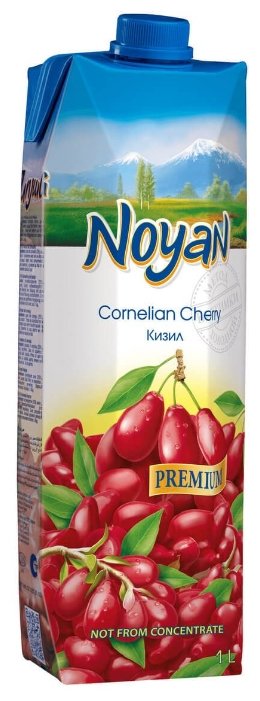 Нектар Noyan Кизил, с крышкой (фото modal 1)