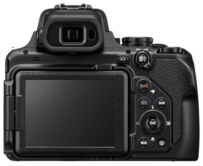 Компактный фотоаппарат Nikon Coolpix P1000 (фото modal 2)