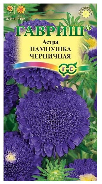 Семена Астра Пампушка черничная, помпонная 0,3 г Гавриш 0.3 г (фото modal 1)