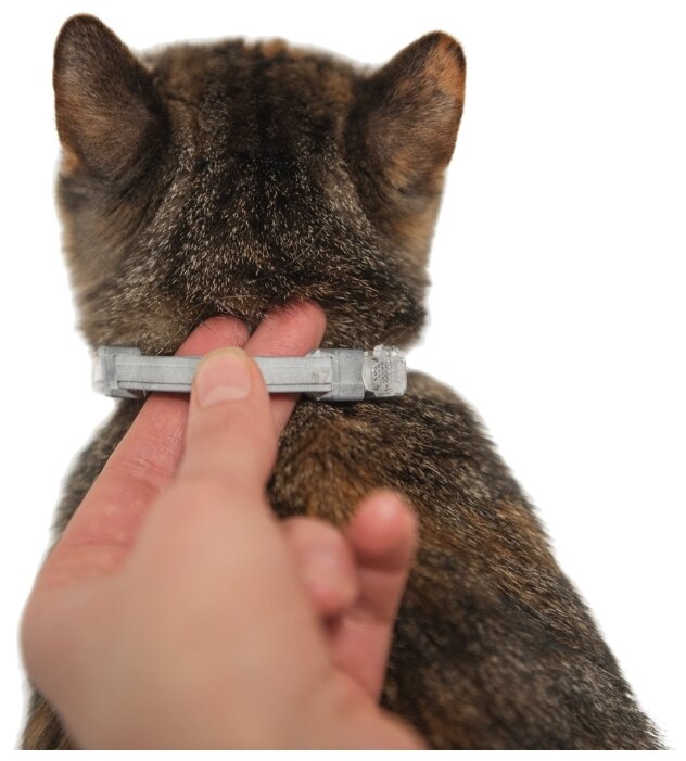 Форесто (Bayer) Ошейник для кошек 38 см (фото modal 5)