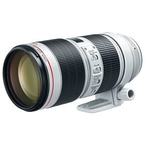 Объектив Canon EF 70-200mm f/2.8L IS III USM (фото modal nav 2)