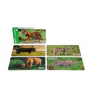 Набор карточек Умница Мир на ладошке. Удивительные животные 18x10.2 см 24 шт. (фото modal nav 3)