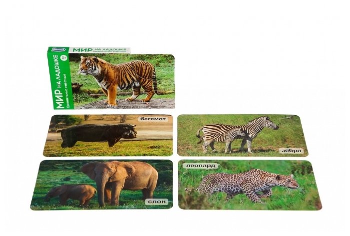 Набор карточек Умница Мир на ладошке. Удивительные животные 18x10.2 см 24 шт. (фото modal 3)