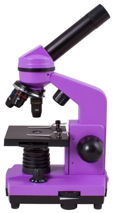 Микроскоп LEVENHUK Rainbow 2L (фото modal 23)