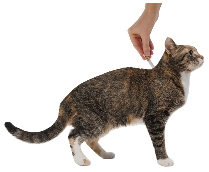 Адвантейдж (Bayer) Адвантейдж для котят и кошек до 4кг (4 пипетки) (фото modal 4)