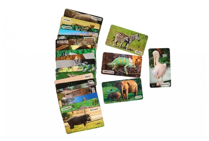 Набор карточек Умница Мир на ладошке. Удивительные животные 18x10.2 см 24 шт. (фото modal 2)