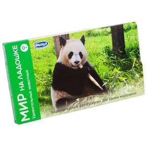 Набор карточек Умница Мир на ладошке. Удивительные животные 18x10.2 см 24 шт. (фото modal nav 1)