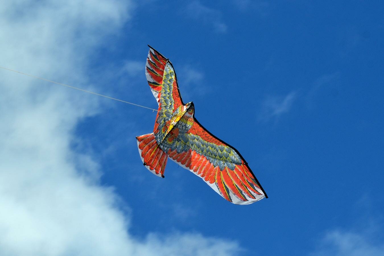 Воздушный змей Веселый ветер Кречет (фото modal 4)