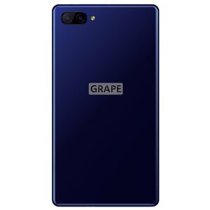 Переводчик-смартфон Grape GTM-5.5 v.15 Exclusive (фото modal nav 8)