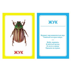 Набор карточек Вундеркинд с пелёнок Логопедка Ж 10x7 см 30 шт. (фото modal nav 2)