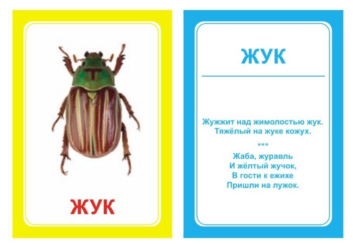Набор карточек Вундеркинд с пелёнок Логопедка Ж 10x7 см 30 шт. (фото modal 2)