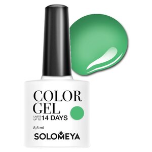 Гель-лак Solomeya Color Gel, 8.5 мл (фото modal nav 74)