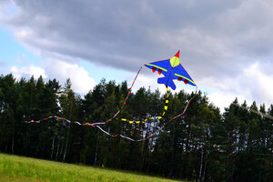 Воздушный змей Веселый ветер Реактивный Дасти (фото modal nav 7)