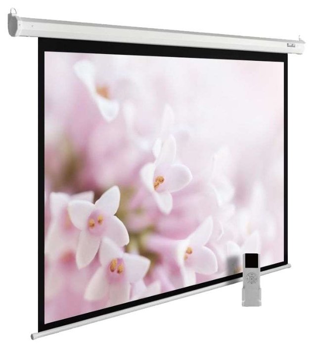 Рулонный матовый белый экран cactus MotoExpert CS-PSME-240x240-WT (фото modal 1)