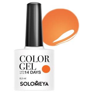 Гель-лак Solomeya Color Gel, 8.5 мл (фото modal nav 110)