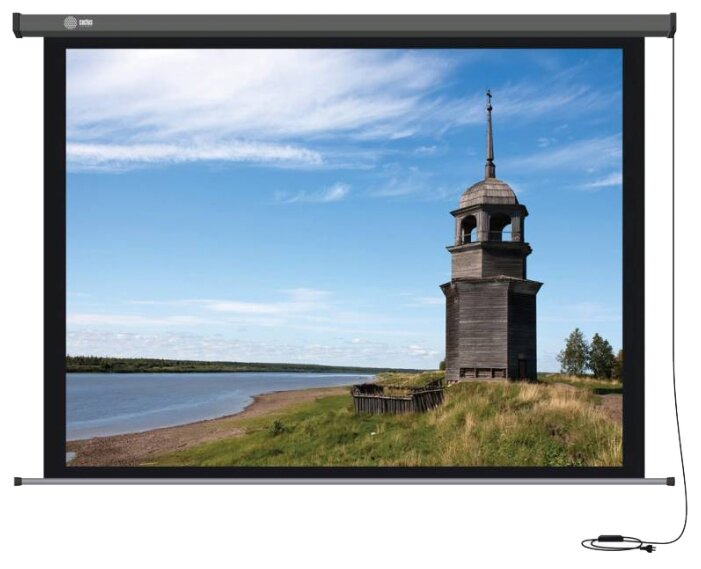 Рулонный матовый белый экран cactus Professional Motoscreen CS-PSPM-152X203 (фото modal 1)