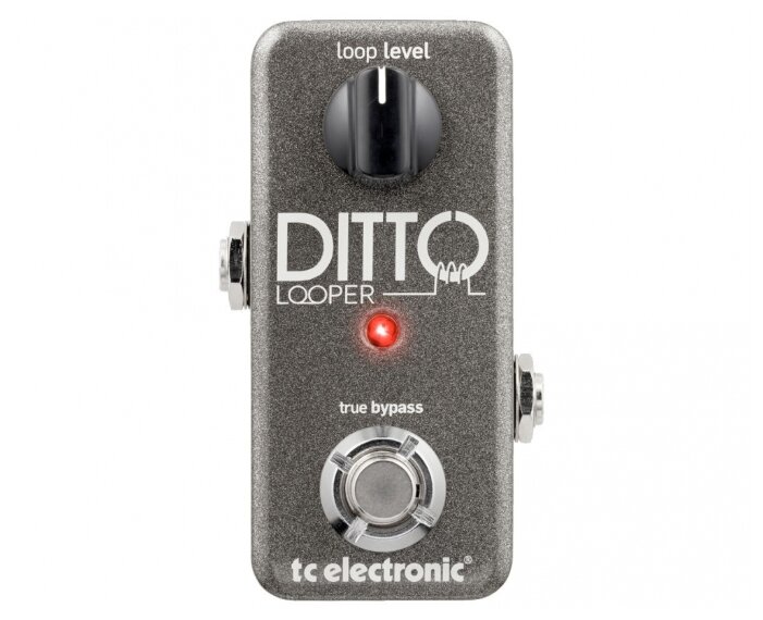 TC Electronic Педаль Ditto Looper (фото modal 2)