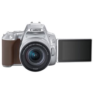Фотоаппарат Canon EOS 250D Kit (фото modal nav 35)