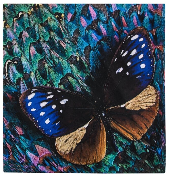 Чехол для подушки Gift'n'Home Волшебная бабочка 40х40 см (НВЛ-40 Волш.Бабочка(g)) (фото modal 1)