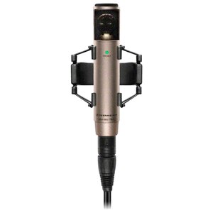 Микрофон Sennheiser MKH 800 TWIN NI (фото modal nav 1)
