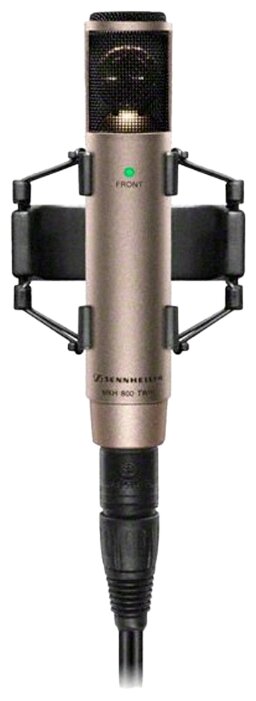 Микрофон Sennheiser MKH 800 TWIN NI (фото modal 1)