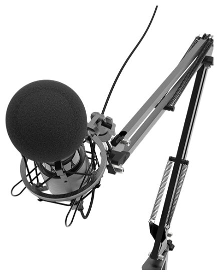 Микрофон Ritmix RDM-180 (фото modal 2)