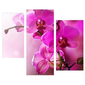 Модульная картина KARTINA style Тайна орхидеи (фото modal nav 1)