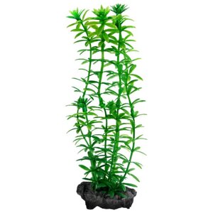 Искусственное растение Tetra Anacharis M (фото modal nav 1)