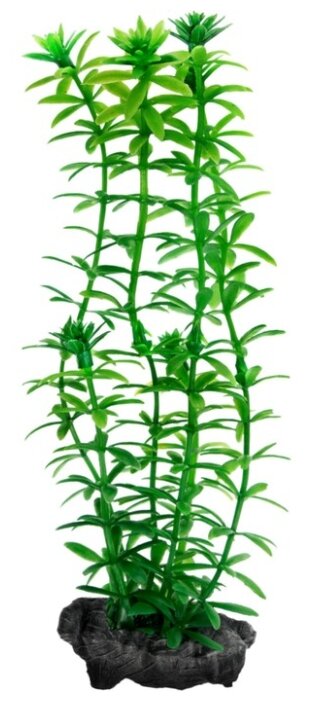 Искусственное растение Tetra Anacharis M (фото modal 1)
