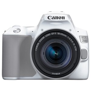 Фотоаппарат Canon EOS 250D Kit (фото modal nav 21)